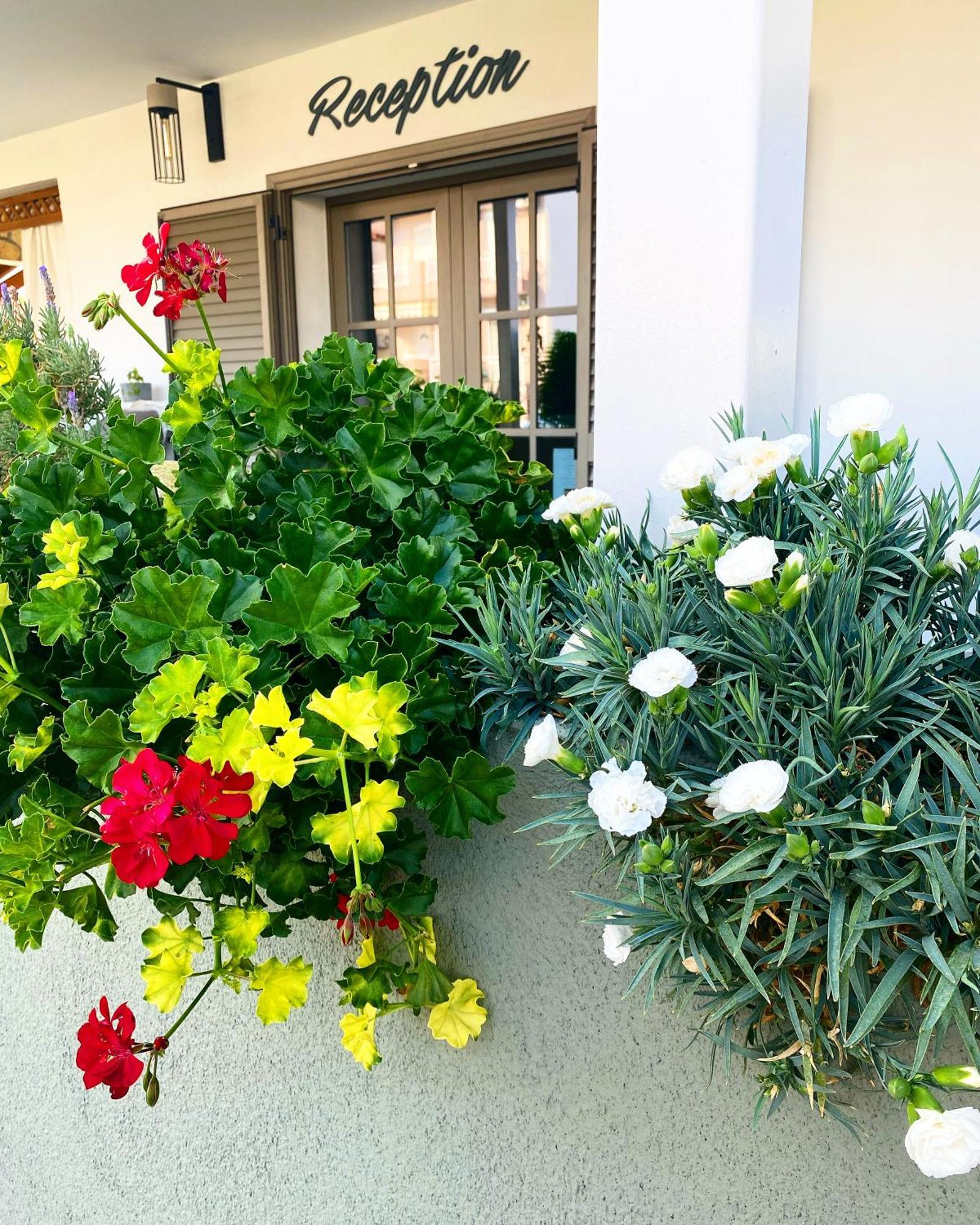 T H E Berlin Studios And Suites Nea Vrasna Ngoại thất bức ảnh